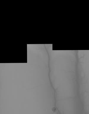 Thumbnail JPG image Thumbnail JPG image