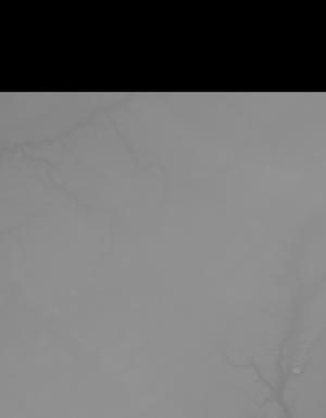 Thumbnail JPG image Thumbnail JPG image