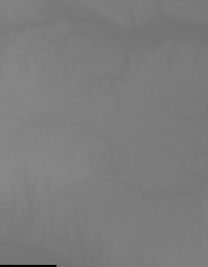 Thumbnail JPG image Thumbnail JPG image