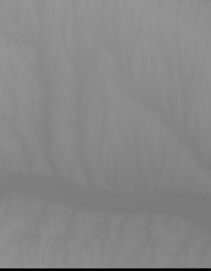 Thumbnail JPG image Thumbnail JPG image