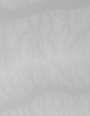 Thumbnail JPG image Thumbnail JPG image