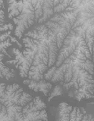Thumbnail JPG image Thumbnail JPG image