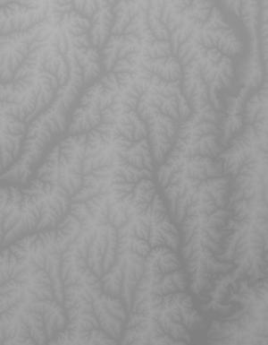 Thumbnail JPG image Thumbnail JPG image