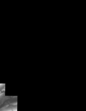 Thumbnail JPG image Thumbnail JPG image