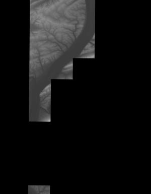 Thumbnail JPG image Thumbnail JPG image