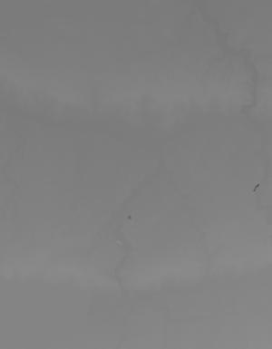Thumbnail JPG image Thumbnail JPG image