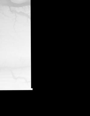Thumbnail JPG image Thumbnail JPG image