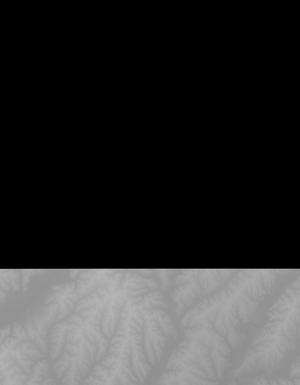 Thumbnail JPG image Thumbnail JPG image