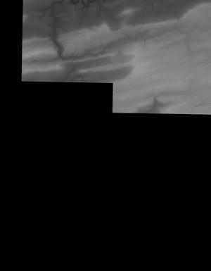 Thumbnail JPG image Thumbnail JPG image
