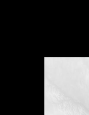 Thumbnail JPG image Thumbnail JPG image