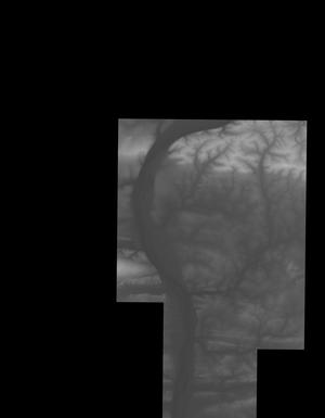 Thumbnail JPG image Thumbnail JPG image