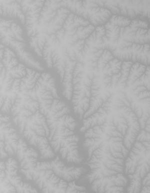 Thumbnail JPG image Thumbnail JPG image
