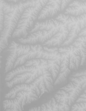 Thumbnail JPG image Thumbnail JPG image