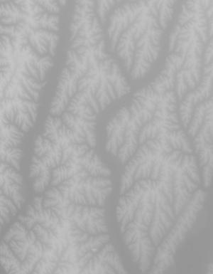 Thumbnail JPG image Thumbnail JPG image