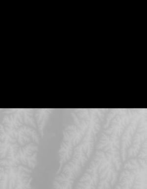 Thumbnail JPG image Thumbnail JPG image