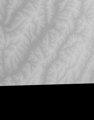 Thumbnail JPG image Thumbnail JPG image