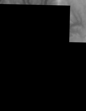 Thumbnail JPG image Thumbnail JPG image