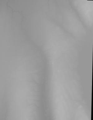 Thumbnail JPG image Thumbnail JPG image