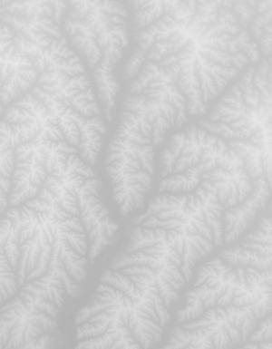 Thumbnail JPG image Thumbnail JPG image