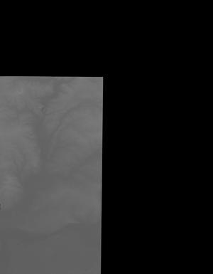 Thumbnail JPG image Thumbnail JPG image
