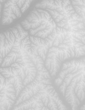 Thumbnail JPG image Thumbnail JPG image