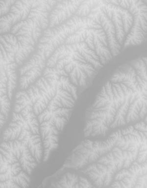 Thumbnail JPG image Thumbnail JPG image
