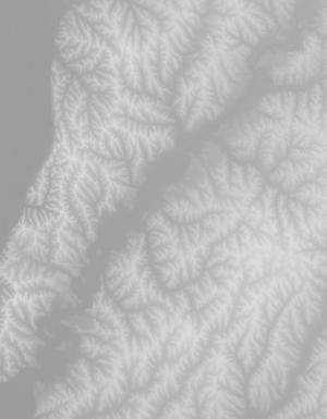 Thumbnail JPG image Thumbnail JPG image