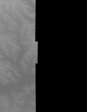 Thumbnail JPG image Thumbnail JPG image