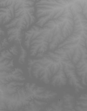 Thumbnail JPG image Thumbnail JPG image