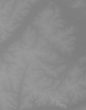 Thumbnail JPG image Thumbnail JPG image