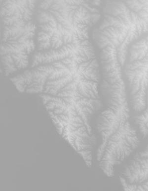 Thumbnail JPG image Thumbnail JPG image