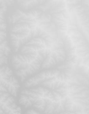 Thumbnail JPG image Thumbnail JPG image