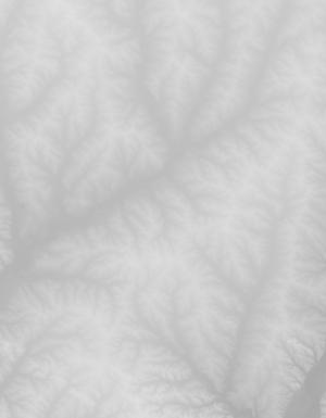 Thumbnail JPG image Thumbnail JPG image