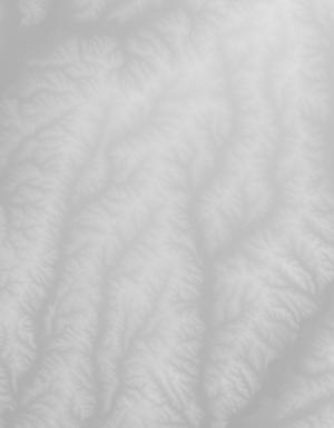 Thumbnail JPG image Thumbnail JPG image
