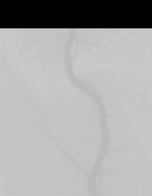 Thumbnail JPG image Thumbnail JPG image