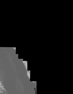 Thumbnail JPG image Thumbnail JPG image