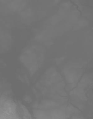 Thumbnail JPG image Thumbnail JPG image