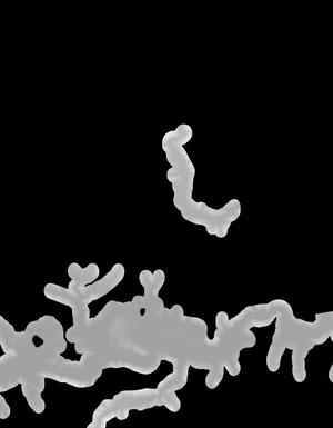 Thumbnail JPG image Thumbnail JPG image