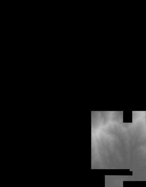 Thumbnail JPG image Thumbnail JPG image