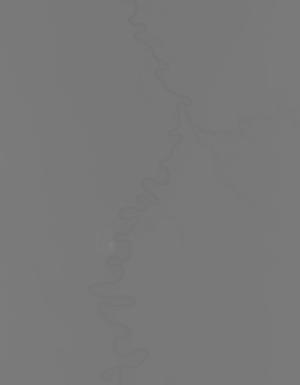 Thumbnail JPG image Thumbnail JPG image