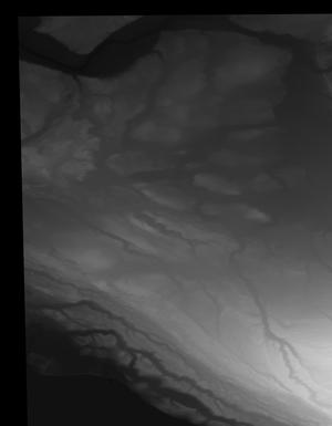 Thumbnail JPG image Thumbnail JPG image