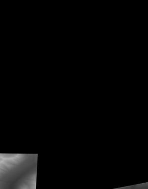 Thumbnail JPG image Thumbnail JPG image