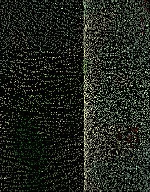 Thumbnail JPG image Thumbnail JPG image