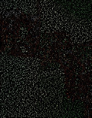 Thumbnail JPG image Thumbnail JPG image