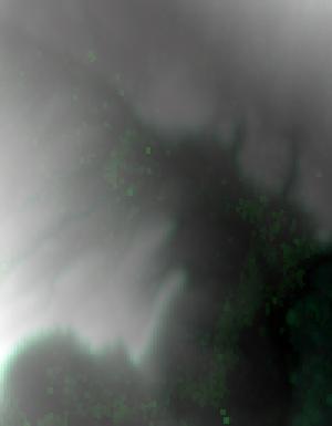 Thumbnail JPG image