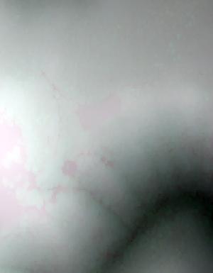 Thumbnail JPG image