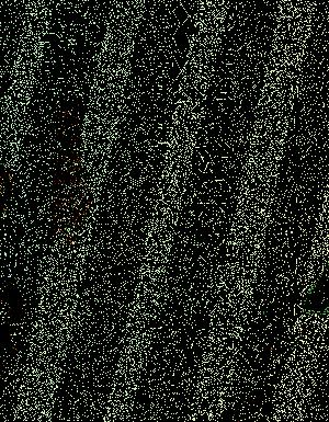 Thumbnail JPG image Thumbnail JPG image