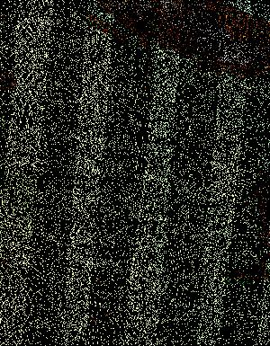 Thumbnail JPG image Thumbnail JPG image