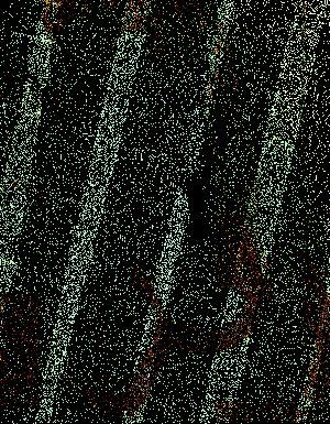 Thumbnail JPG image Thumbnail JPG image
