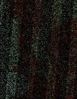 Thumbnail JPG image Thumbnail JPG image